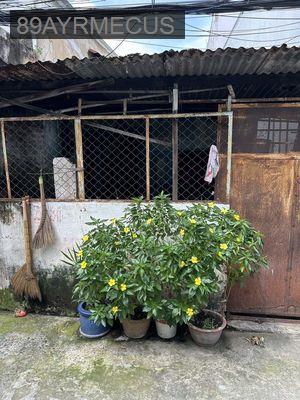 Bán nhà nát 93.9m2, tiện xây mới tại Tân Bình, TP HCM - Phường 14  -  Quận Tân Bình 