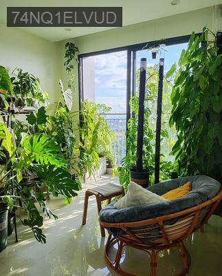 Vinhomes Grand Park (S1.02) - 2PN 1WC - View Landmark81 Q7 Q1 Q2 - Phường Long Thạnh Mỹ  -  Quận 9  Vinhomes Grand Park (S1.02) - 2PN 1WC - View Landmark81 Q7 Q1 Q2 - Phường Long Thạnh Mỹ  -  Quận 9