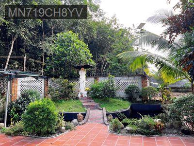 Kẹt tiền CẦN BÁN nhà vườn ở 1mẫu3 tại Thành Phố Bến Cát ( Nguồn kín ) - Phường Mỹ Phước  -  Thị xã Bến Cát 