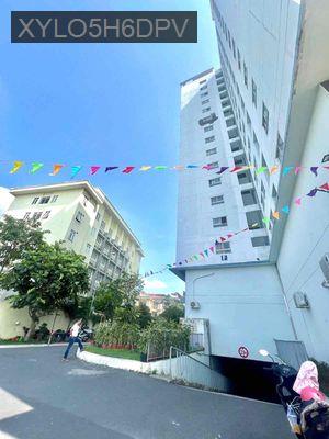 20tr/m shop house - Phường An Lạc  -  Quận Bình Tân  20tr/m shop house - Phường An Lạc  -  Quận Bình Tân