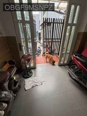 HẺM XE HƠI THÔNG TRUNG TÂM Q3 4 TẦNG 4 TỶ XÍU - Phường 9  -  Quận 3 