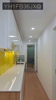 🌟TÂN PHÚ 🌟CC HUỲNH VĂN CHÍNH TẦNG 2 SHR MỚI ĐẸP GIÁ 2,6TỶ - Phường Phú Trung  -  Quận Tân Phú 