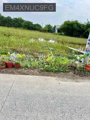 Đất Nền Gần cầu xáng Tỉnh Lộ 10 cụm KCn Tân Đức Tân Đô Hải sơn - Xã Đức Hoà Đông  -  Huyện Đức Hòa 