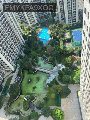 🌟 CẦN BÁN GẤP CĂN HỘ 2PN+ TẠI VINHOMES GRAND PARK – GIÁ CHỈ 52tr/m2 vi - Phường Long Thạnh Mỹ  -  Quận 9 