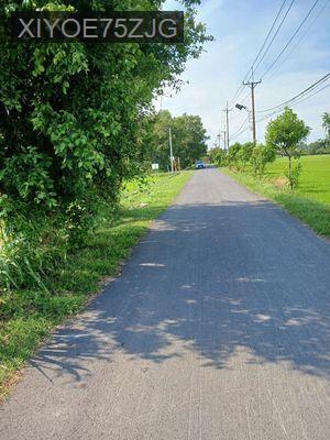 Đất lúa 2500m2 mặt tiền nhựa xã Thái Mỹ - Củ Chi - Xã Thái Mỹ  -  Huyện Củ Chi 