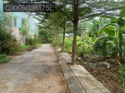 Cần bán 116 m2 đất thổ cư, ngay thành công. - Xã Long Thới  -  Huyện Nhà Bè 