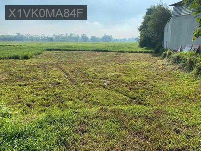 BÁN ĐẤT MT TL15. DTCN:4300m2.GIÁ 15,8 tỷ TL - Xã Phú Mỹ Hưng  -  Huyện Củ Chi 