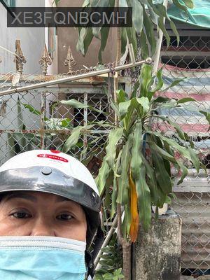 Nhà cũ Phan Chu Trinh, xây dựng 5 tầng, chỉ 5,9 tỷ - Phường 24  -  Quận Bình Thạnh 