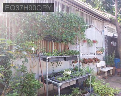 Bán nhà riêng : 88m², 3PN, 2 TL đường 6m - Phường Bình Chiểu  -  Quận Thủ Đức 