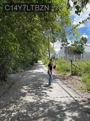 bán đất thổ cư đường Nguyễn Kim Cương,ngang 5 dài 43, - Xã Tân Thạnh Đông  -  Huyện Củ Chi  bán đất thổ cư đường Nguyễn Kim Cương,ngang 5 dài 43, - Xã Tân Thạnh Đông  -  Huyện Củ Chi