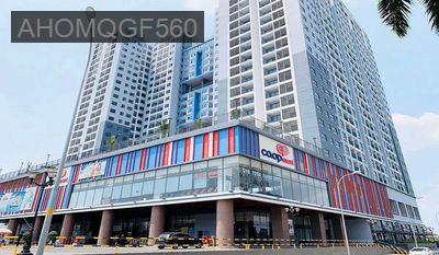 BÁN CHUNG CƯ SAIGON AVENUE. ĐƯỜNG 11. P:TAM BÌNH. GIÁ 2ty790. - Phường Tam Bình  -  Quận Thủ Đức 