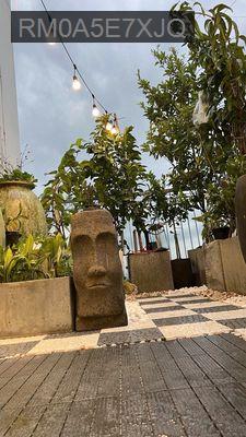 PENTHOUSE LUXGARDEN QUẬN 7- SÂN VƯỜN RIÊNG 18M - Phường Phú Thuận  -  Quận 7 