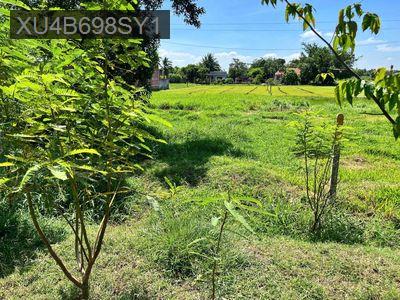 ĐẤT NGỘP XÃ TÂN BỬU-BẾN LỨC - Thị trấn Bến Lức  -  Huyện Bến Lức 