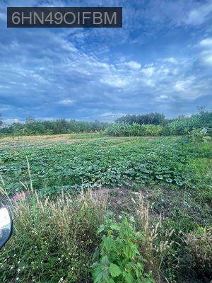 Tại Bình Mỹ, Huyện Bắc Tân Uyên, Tỉnh Bình Dương  cũ Khu dân cư hiện h - Xã Bình Mỹ  -  Huyện Bắc Tân Uyên 