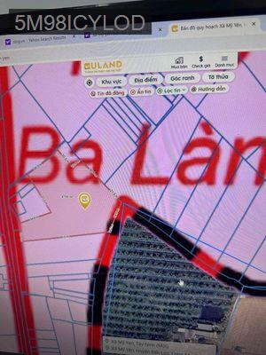 ĐẤT TRỒNG DỪA ĐANG CHO THU HOẠCH CHỦ KẸT BÁN GẤP CHỈ 2tr3/m - Xã Mỹ Yên  -  Huyện Bến Lức 