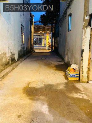 Nhà bán hẻm xe hơi, đường Huỳnh Tấn Phát, Nhà Bè - Xã Phú Xuân  -  Huyện Nhà Bè 