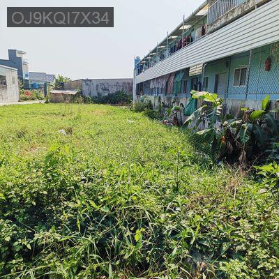 Đất Mỹ Hạnh, Đức Hoà, Tây Ninh - Xã Mỹ Hạnh Nam  -  Huyện Đức Hòa 