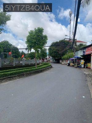 Đất Khu Phân Lô Đường APĐ 1: 4,1x13m - Phường An Phú Đông  -  Quận 12 