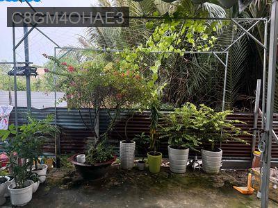 Nhà Hẻm Xe Hơi 2174 Mới Xây 3Pn 2Wc - Xã Phú Xuân  -  Huyện Nhà Bè 