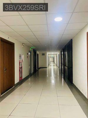Chung cư An Phú, BD + 47,2m2 + 2PN,1NVS + mặt tiền ngã 6 An Phú - Phường An Phú  -  Thị xã Thuận An 