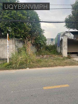 Bán hoặc cho thuê đất - Xã Tân Thông Hội  -  Huyện Củ Chi 