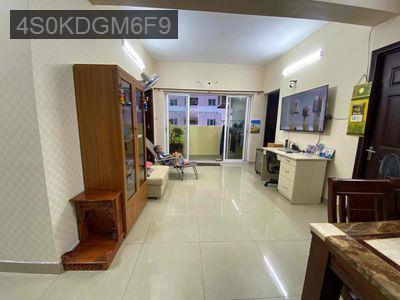 Bán Căn hộ Thái Sơn , 81m2 3PN và 79m2 2 PN Sổ hồng Riêng - Phường Tân Tạo  -  Quận Bình Tân 