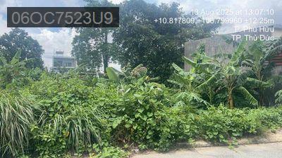 Chính chủ ngộp cần bán gấp đất tặng nhà Q9 - Phường Phú Hữu  -  Quận 9 