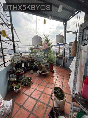 nhà ở 98m2 5pn 6 tolet đường đông hưng thuận 41 quận 12 lh *** - Phường Tân Hưng Thuận  -  Quận 12 