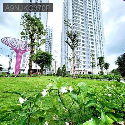 CẦN BÁN CĂN HỘ IRIS TOWER 2PN+ 2WC - 59M2  THUẬN AN GIÁ 1TỶ7 - Phường Bình Hòa  -  Thị xã Thuận An 