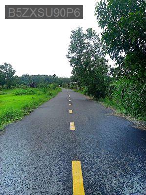 Bán đất 1000 m2 ở Đồng Voi, gần sông Sài Gòn - Xã An Nhơn Tây  -  Huyện Củ Chi 