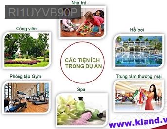 căn hộ sổ hồng 1pn 1wc Q7  FULL NT CAO CẤP - Phường Phú Mỹ  -  Quận 7 