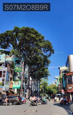 Bán nhà - Phường 3  -  Quận 3  - 140m² - 72tỷ