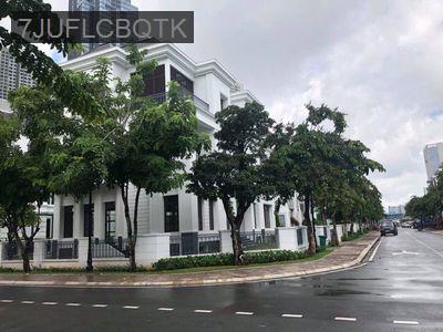 Bán Biệt Thự Vinhomes Central Park và Vinhomes Golden River - Phường 22  -  Quận Bình Thạnh 