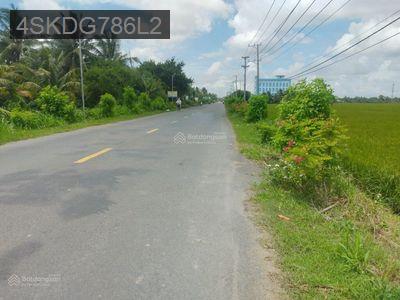 Đất đẹp mặt tiền đường nhựa 9m phù hợp an cư, kinh doanh - Xã Phước Vân  -  Huyện Cần Đước 