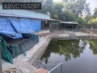 Bán nhà biệt thự vườn - Xã Bình Thạnh  -  Huyện Thủ Thừa 