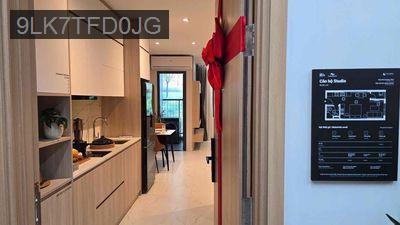 Căn Hộ 38m2 1PN THE WIN CITY - Mặt Tiền Trần Văn Giàu - Thị trấn Đức Hoà  -  Huyện Đức Hòa 