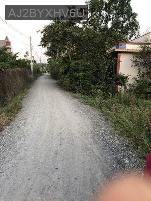 Đất hẻm xe hơi - Xã Phước Vân  -  Huyện Cần Đước 