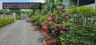 Nhà vườn Phú An - Bến Cát ( Tp. HCM mới) đẹp - Xã Phú An  -  Thị xã Bến Cát 