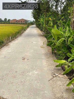 Đất nông nghiệp có sổ hồng riêng - Xã Nhơn Thạnh Trung  -  Thành phố Tân An 