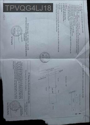 Đất nông nghiệp 558,2m2 ngay thuận an thuận giao - Phường Thuận Giao  -  Thị xã Thuận An 