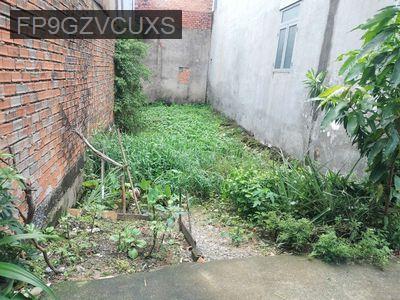 Lô Đất cách đường Võ Văn Vân & đường Lại Hùng Cường 880m - Xã Vĩnh Lộc B  -  Huyện Bình Chánh 