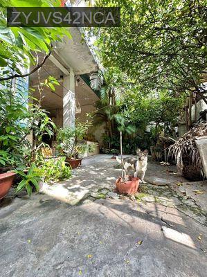 Định cưới_bán Rẻ TS nhà có 186m2 kế cầu Cây Gõ Q11/Q6 xd Villa/CHDV Ổn - Phường 1  -  Quận 11 