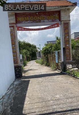 CHÍNH CHỦ BÁN ĐẤT THỔ CƯ XÓM CÔNG ĐIỀN, LONG CANG, CẦN ĐƯỚC - Xã Long Cang  -  Huyện Cần Đước 