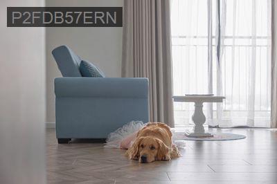 NHIỀU CĂN3PN Q7 BOULEVARD VIEW ĐẸP NHẤT DỰ ÁN 2.9TỶ NHÀ MỚI - Phường Phú Mỹ  -  Quận 7 