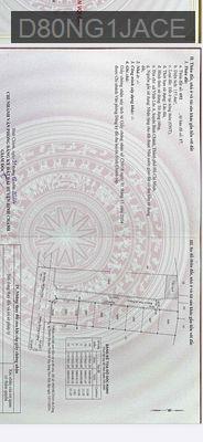 Đất sổ đỏ DT 12*13 góc 2MT xe hơi gần KCN Vĩnh Lộc - Xã Vĩnh Lộc A  -  Huyện Bình Chánh 