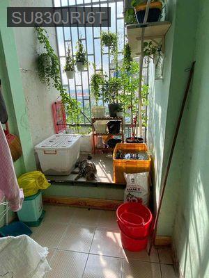 chính chủ cần bán căn hộ chung cư  Hiệp Bình Chánh - Phường Hiệp Bình Chánh  -  Quận Thủ Đức 