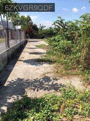 Bán Đất Thổ Cư đường Võ Văn Ngân, Đức Hòa, Long An, 5x25m - Xã Đức Hoà Hạ  -  Huyện Đức Hòa 