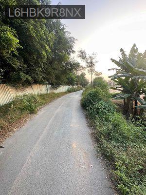 CẦN BÁN ĐẤT MẶT TIỀN ĐƯỜNG NHỰA ĐƯỜNG 6D Xã Tân Vĩnh Lộc - Xã Vĩnh Lộc B  -  Huyện Bình Chánh 