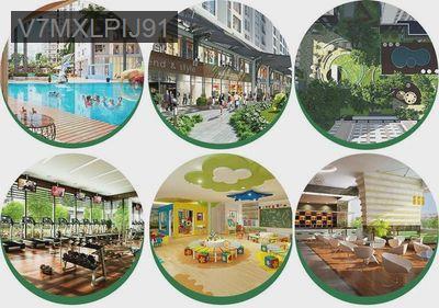 Căn hộ quận 8 - Về Bến Thành 8km giá có một không 2 - Phường 3  -  Quận 8 