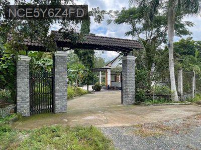 Nhà vườn cực đẹp tại Dầu Tiếng HCM - Xã Long Hòa  -  Huyện Dầu Tiếng 